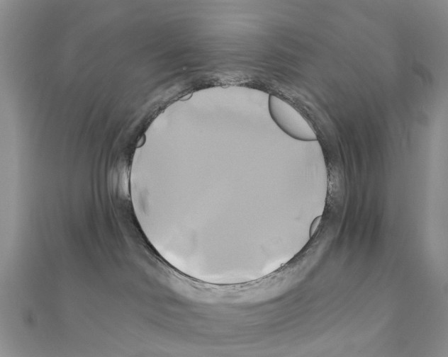 X0000111240046200908131155