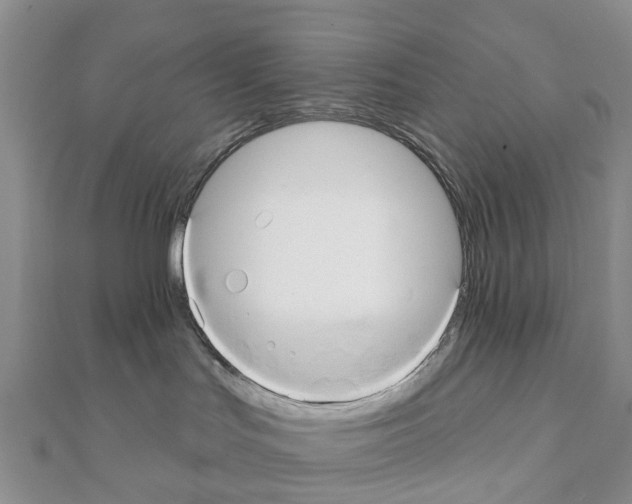 X0000111240047200908131155