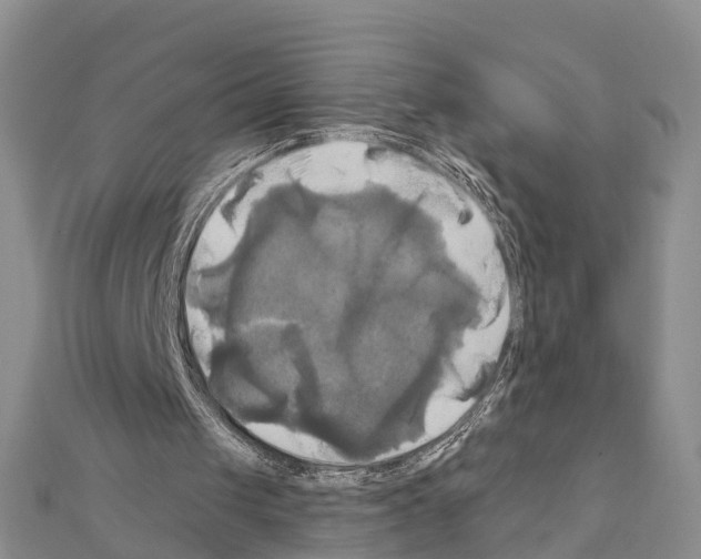 X0000111240049200908131154