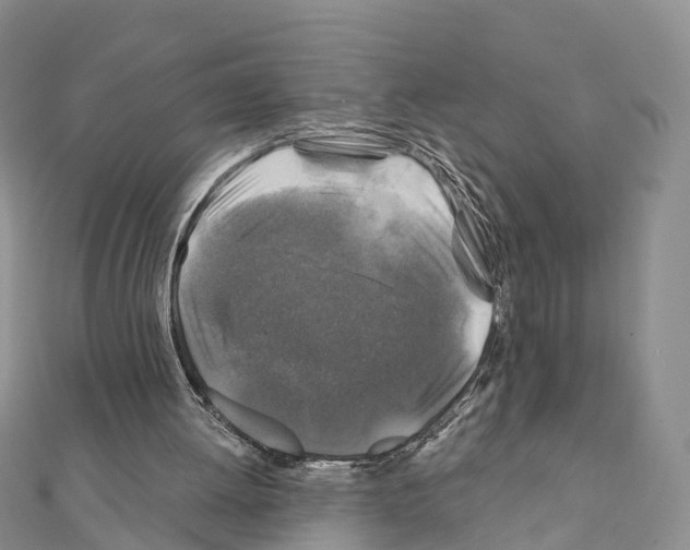 X0000111240052200908131154
