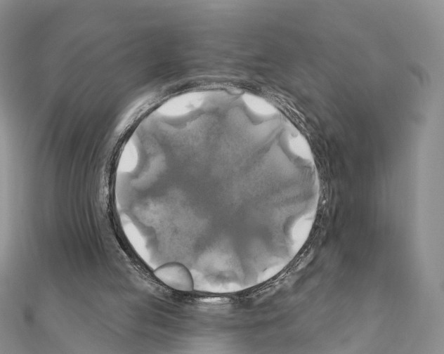 X0000111240053200908131154