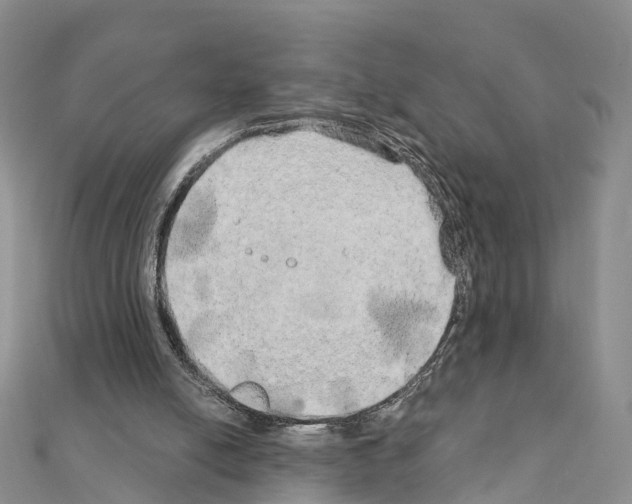 X0000111240054200908131154