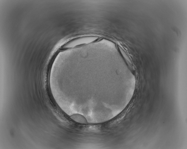 X0000111240056200908131154