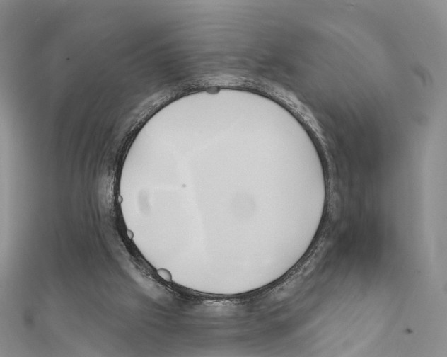 X0000111240057200908131154