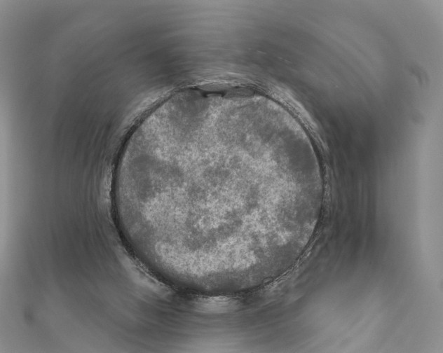 X0000111240058200908131154