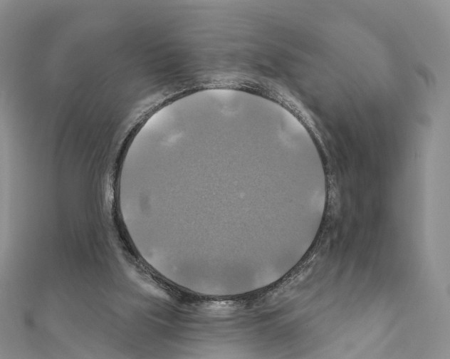 X0000111240059200908131154