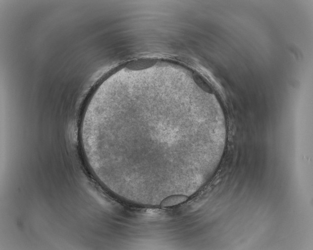 X0000111240060200908131154