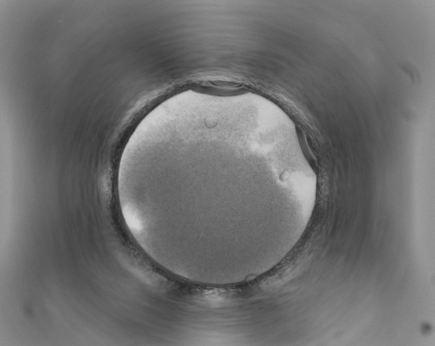 X0000111240064200908131154