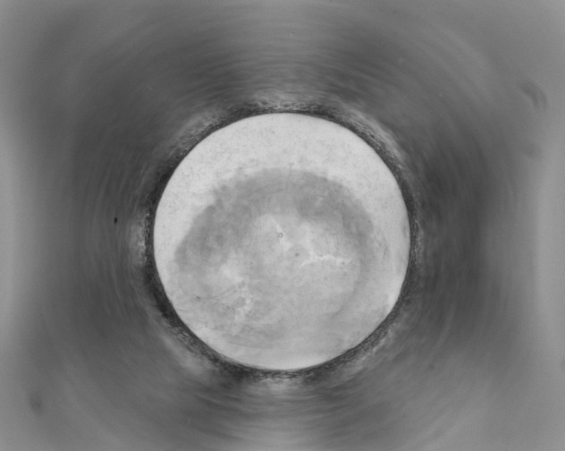 X0000111240065200908131154