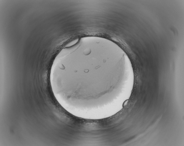 X0000111240066200908131154