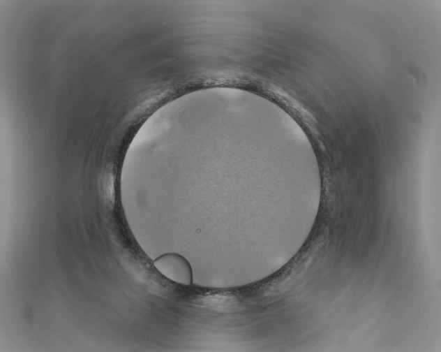 X0000111240067200908131154