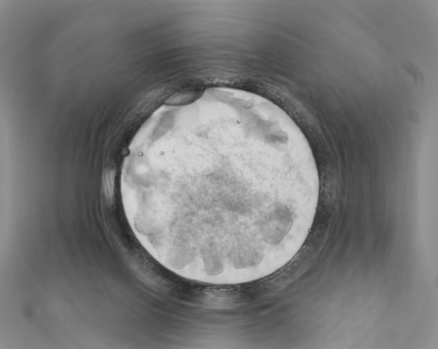 X0000111240070200908131154