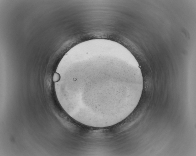 X0000111240072200908131154