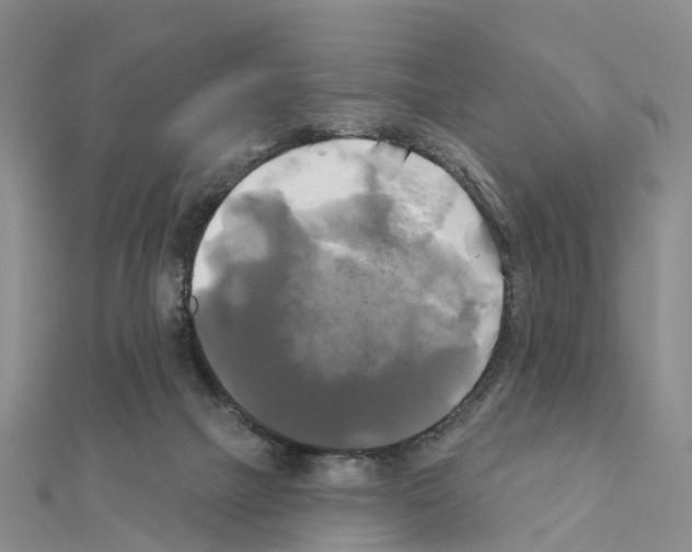 X0000111240073200908131154
