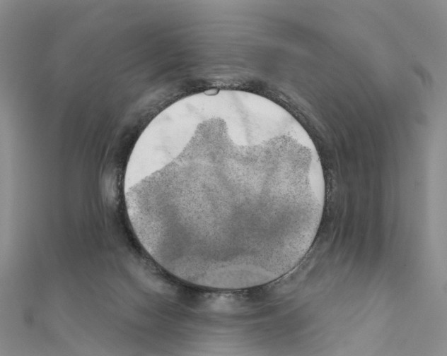 X0000111240074200908131154