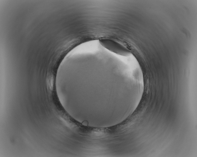 X0000111240076200908131154