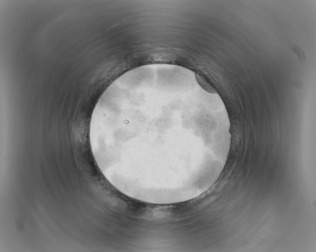 X0000111240078200908131154