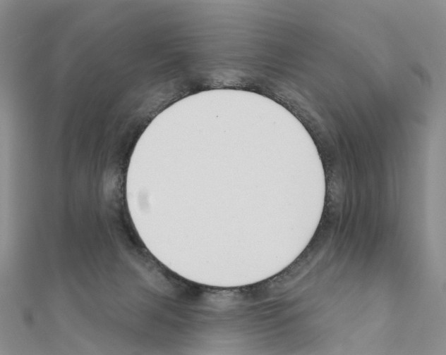X0000111240079200908131154