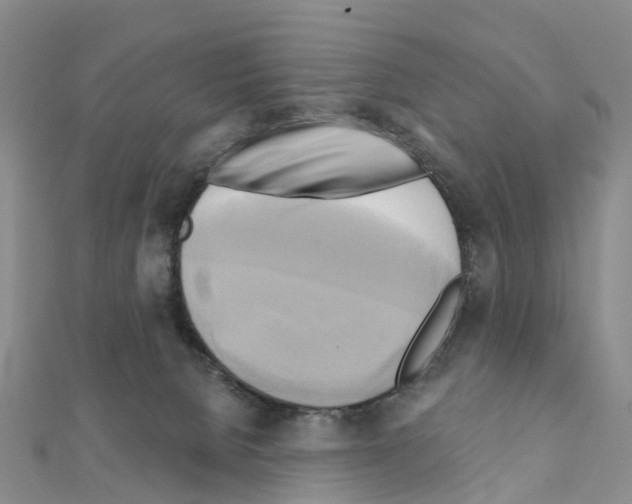 X0000111240080200908131154