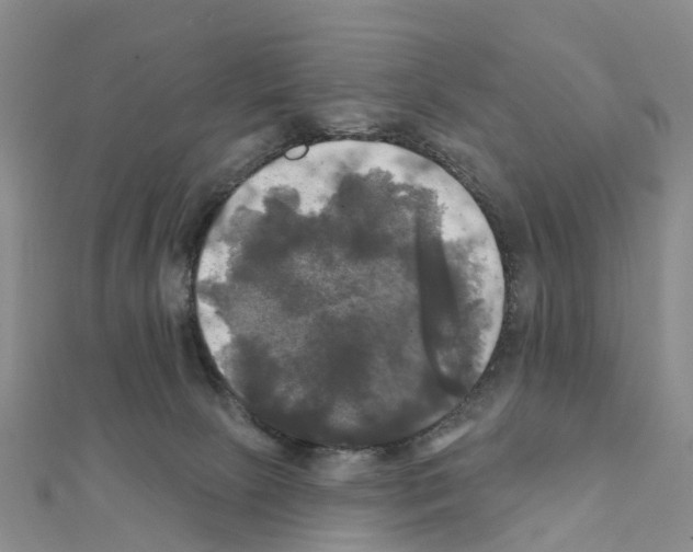 X0000111240081200908131154