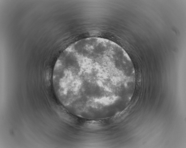 X0000111240082200908131154