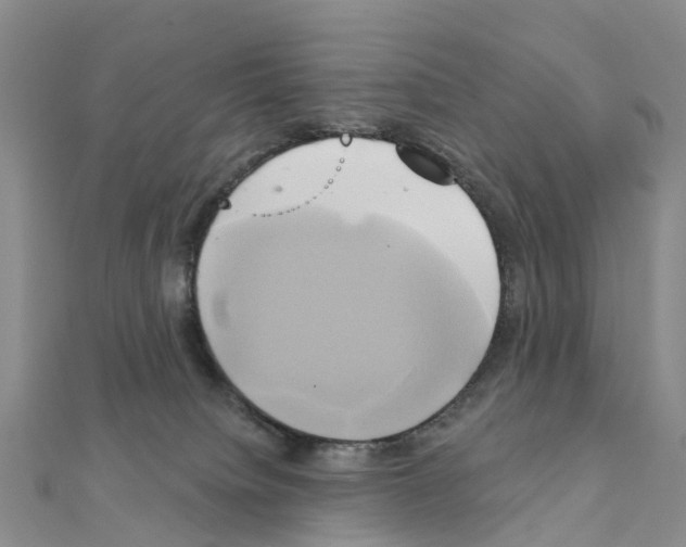 X0000111240084200908131154