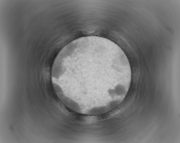 X0000111240085200908131154