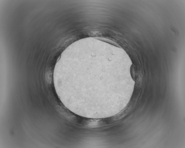 X0000111240090200908131155