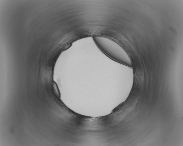 X0000111240092200908131155