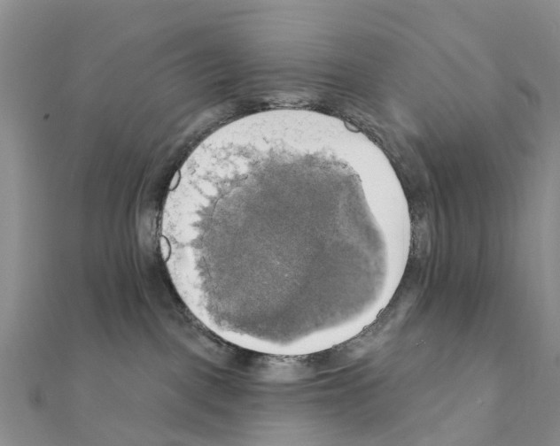 X0000111240093200908131155