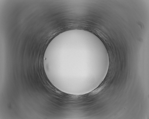 X0000111240096200908131155