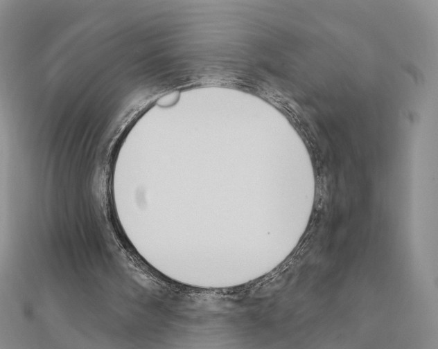 X0000111240098200908131154