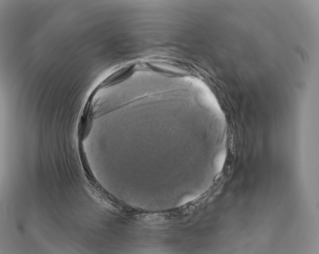 X0000111240100200908131154