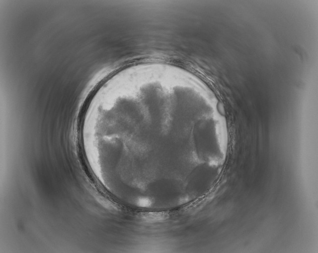 X0000111240102200908131154