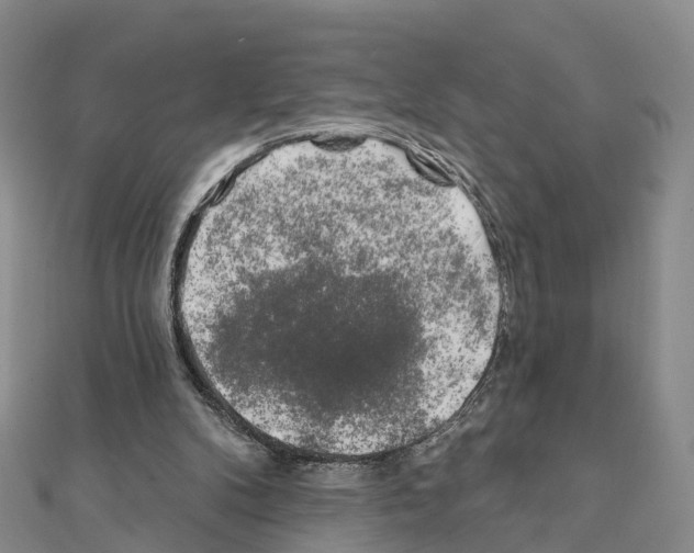 X0000111240104200908131154