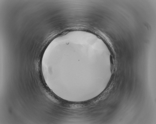 X0000111240105200908131154