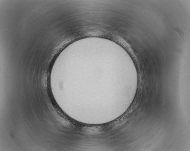 X0000111240106200908131154