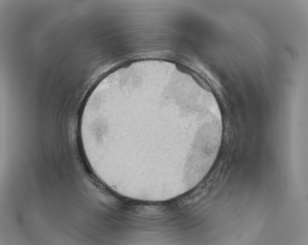 X0000111240107200908131154