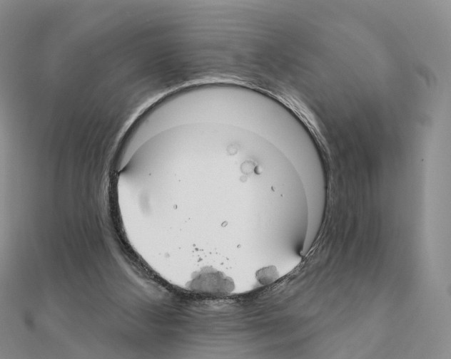 X0000111240108200908131154