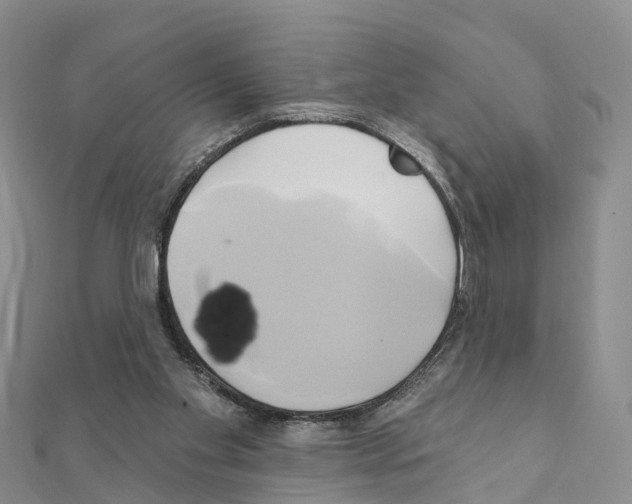 X0000111240109200908131154