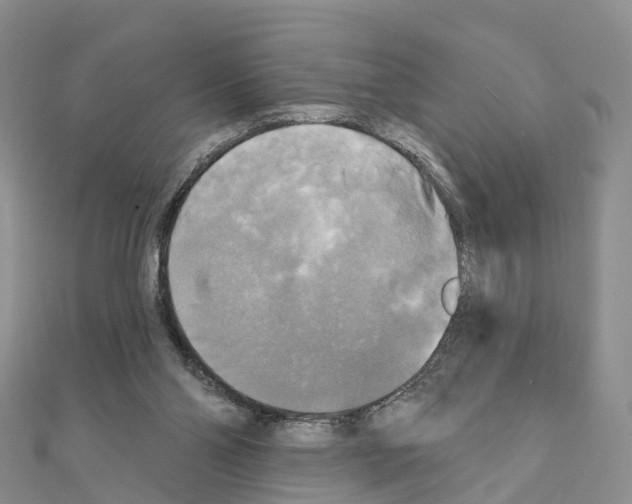 X0000111240110200908131154