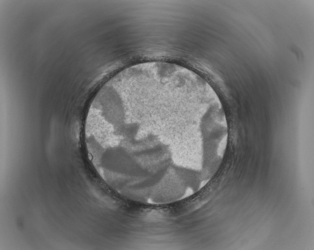 X0000111240115200908131154