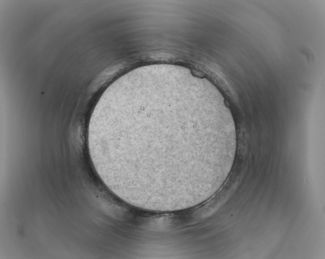X0000111240116200908131154