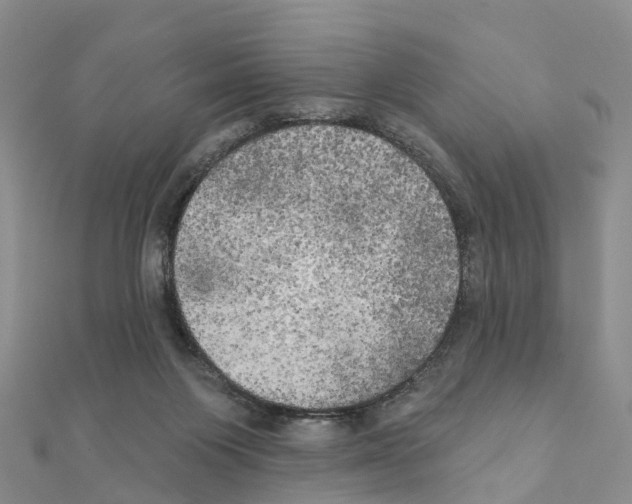 X0000111240119200908131154