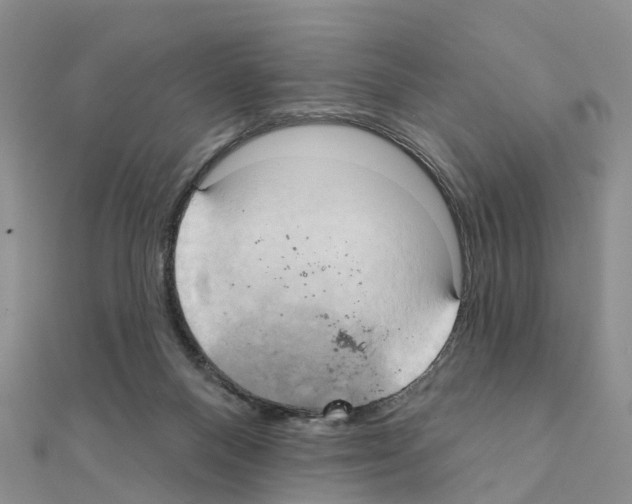 X0000111240120200908131154