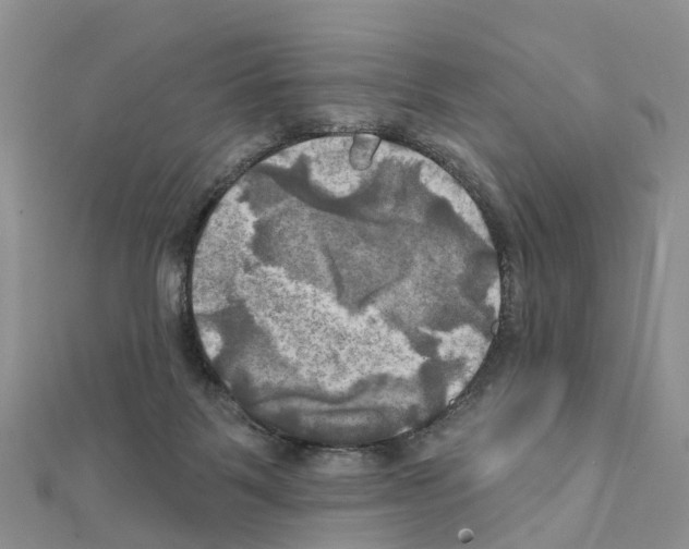 X0000111240123200908131154