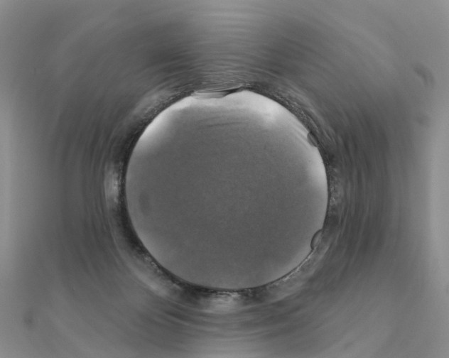X0000111240124200908131154