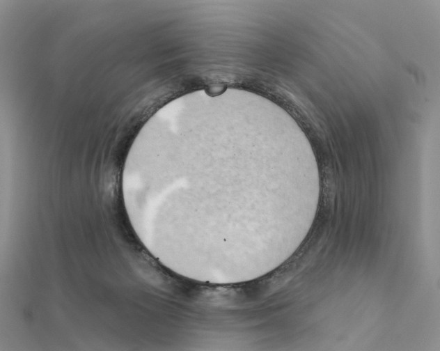 X0000111240125200908131154