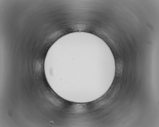 X0000111240126200908131154