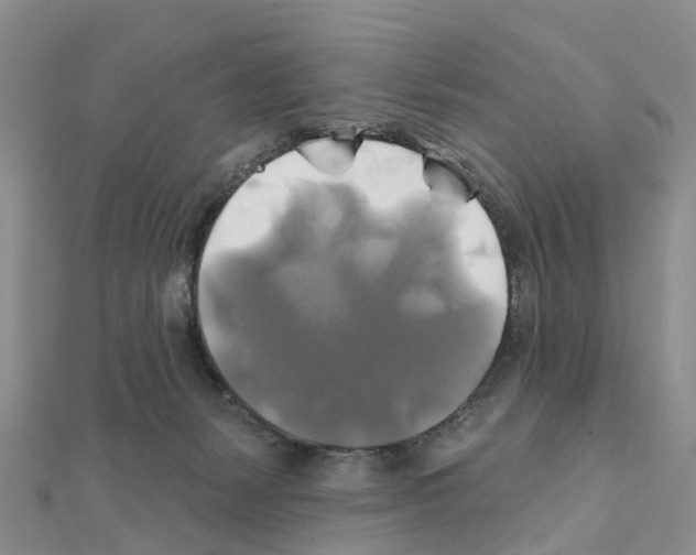 X0000111240127200908131154